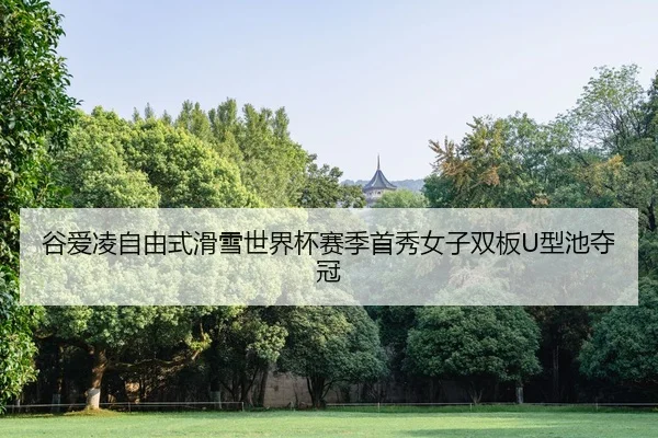 谷爱凌自由式滑雪世界杯赛季首秀女子双板U型池夺冠