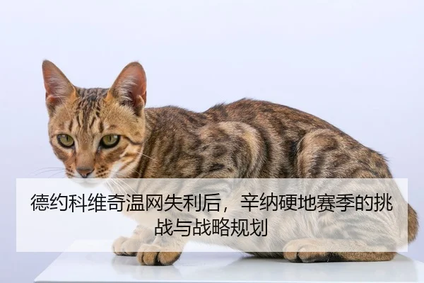 德约科维奇温网失利后，辛纳硬地赛季的挑战与战略规划