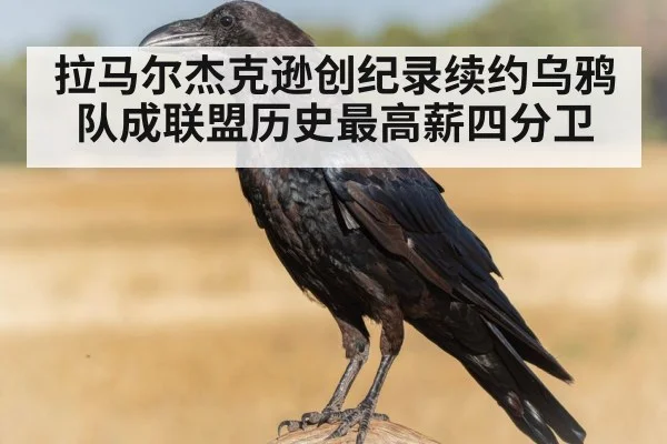 拉马尔杰克逊创纪录续约乌鸦队成联盟历史最高薪四分卫