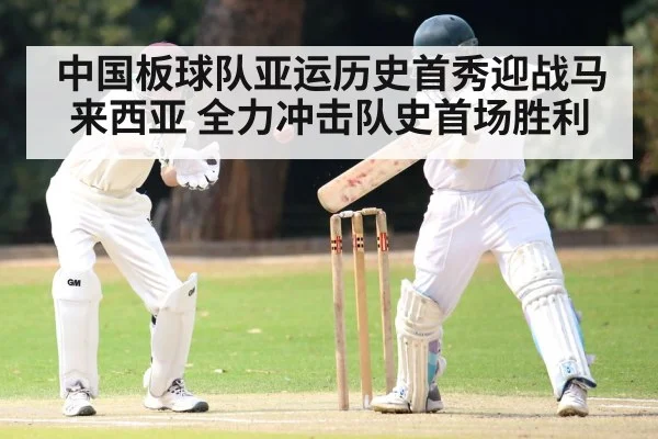 cricket ball and bat