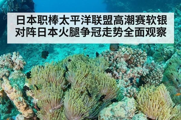 日本职棒太平洋联盟高潮赛软银对阵日本火腿争冠走势全面观察